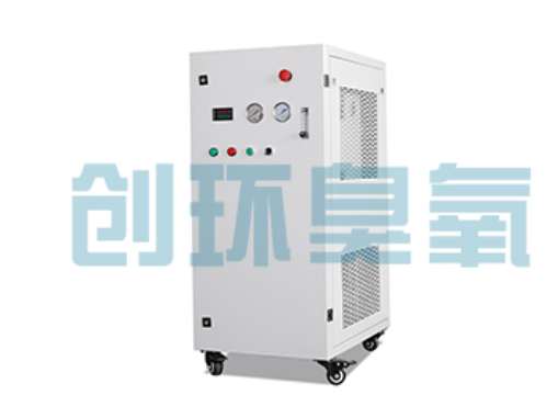 大理石斑鱼养殖水质调控完整指南：臭氧发生器配置与操作步骤