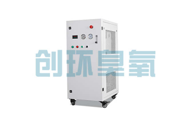 大理比传统换水更高效？臭氧发生器在石斑鱼养殖中的水质净化原理解析
