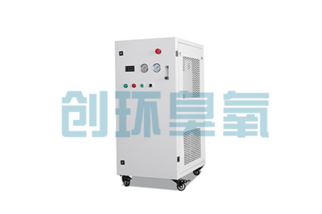 大理比传统换水更高效？臭氧发生器在石斑鱼养殖中的水质净化原理解析